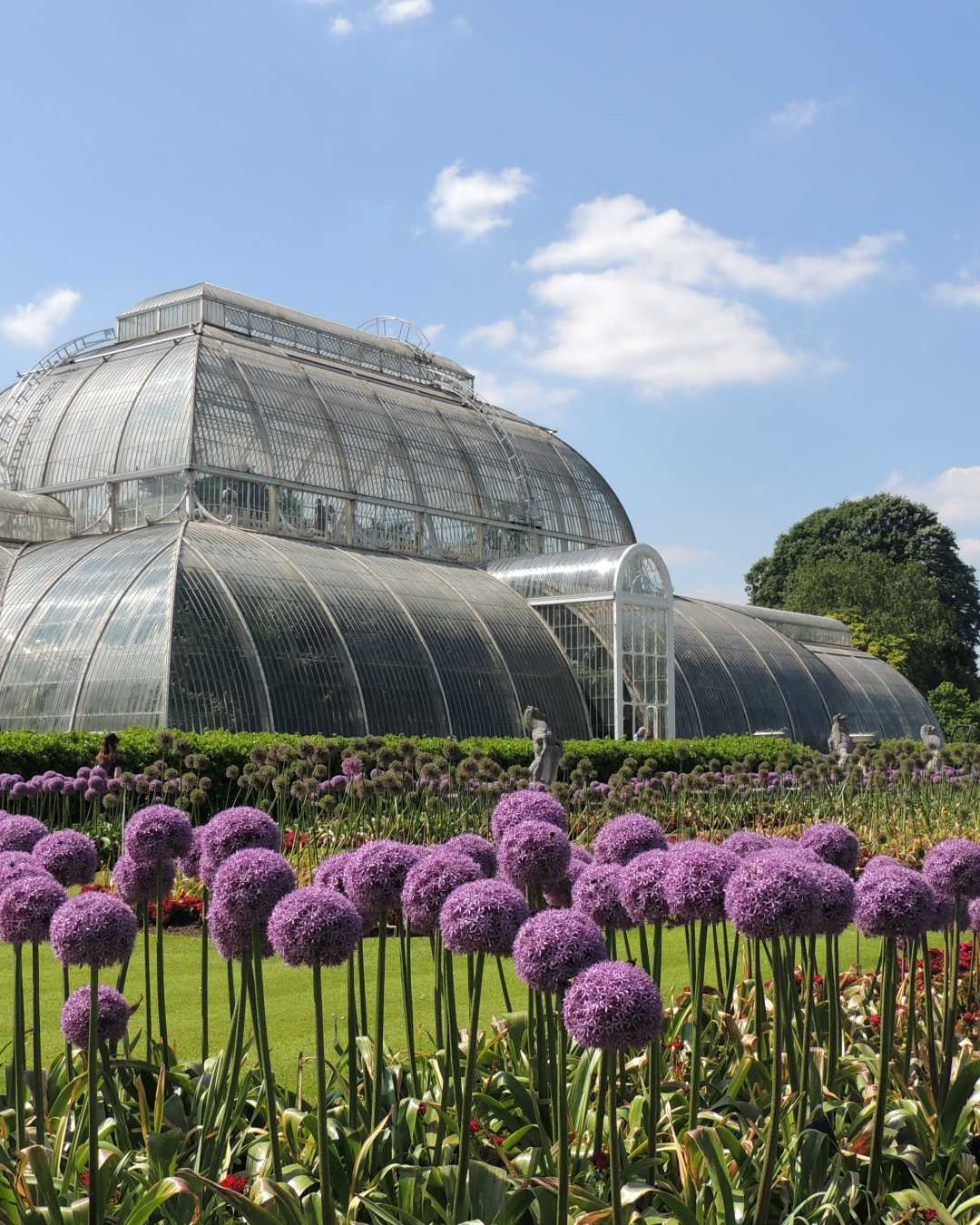 Sustainable Summer Events: What's On this August