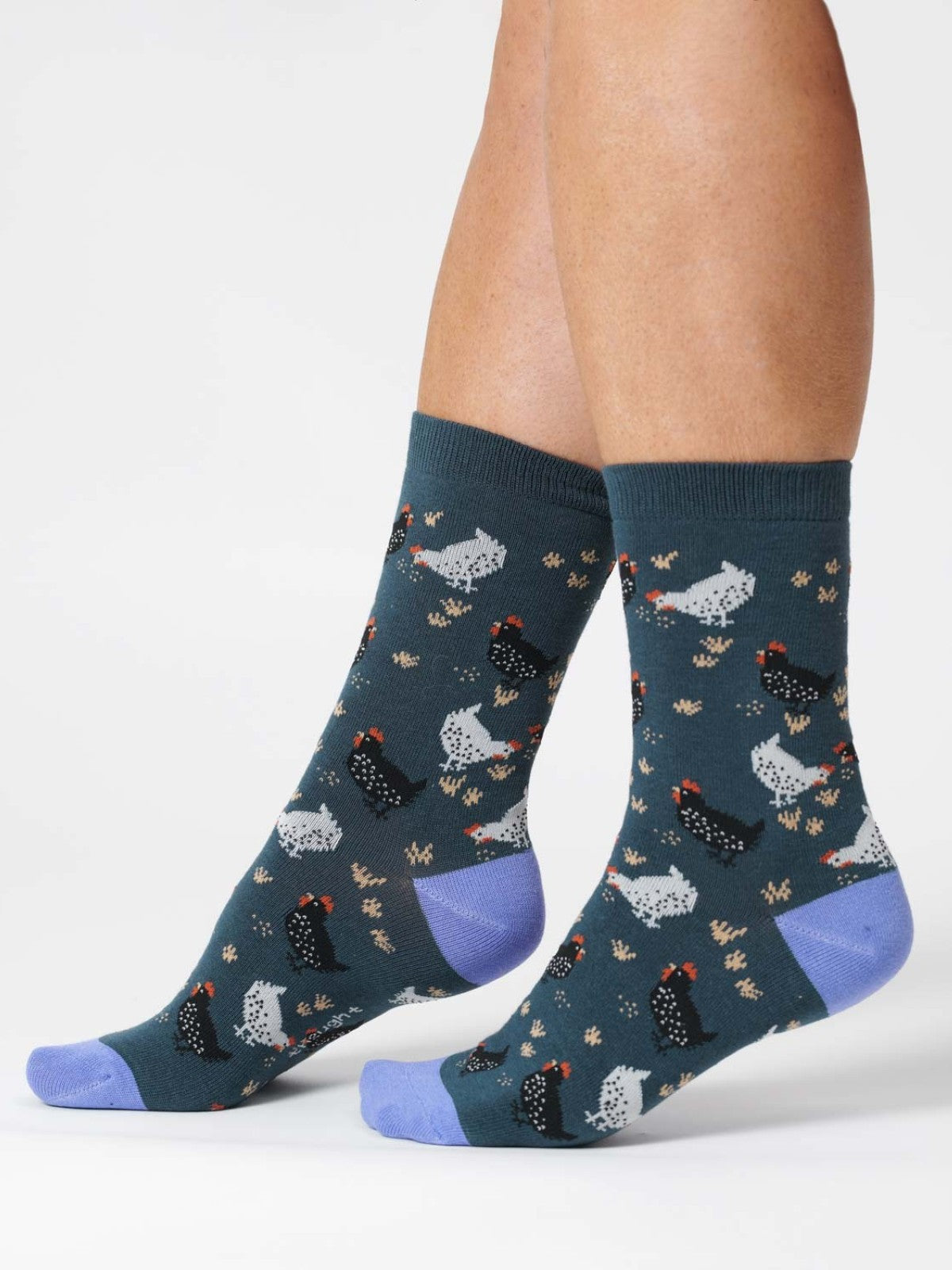 Womens Chicken Organic Cotton Socks - Blue Slate