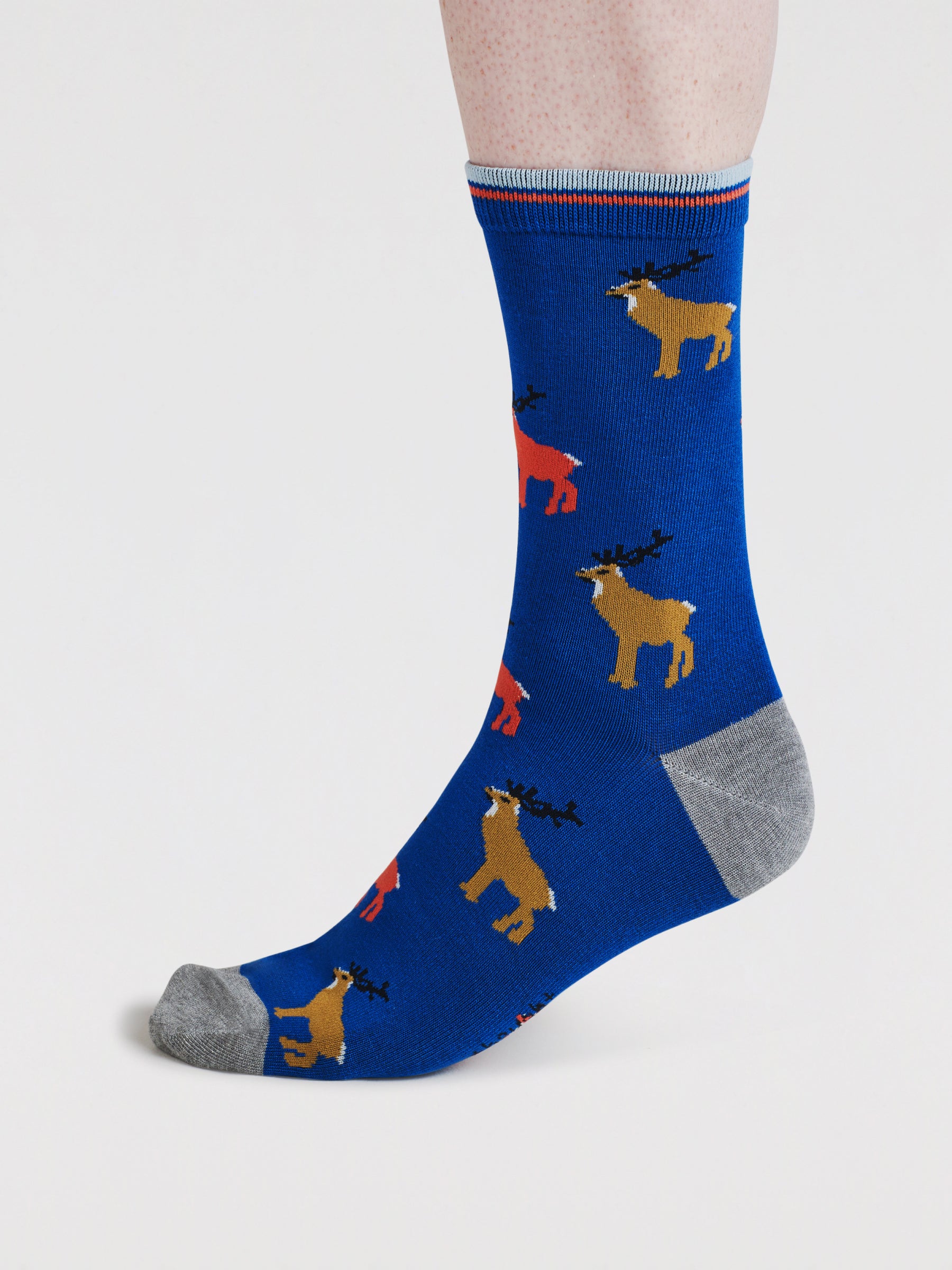 Daly Forest Adventure Bamboo 7 Sock Gift Box - Multi