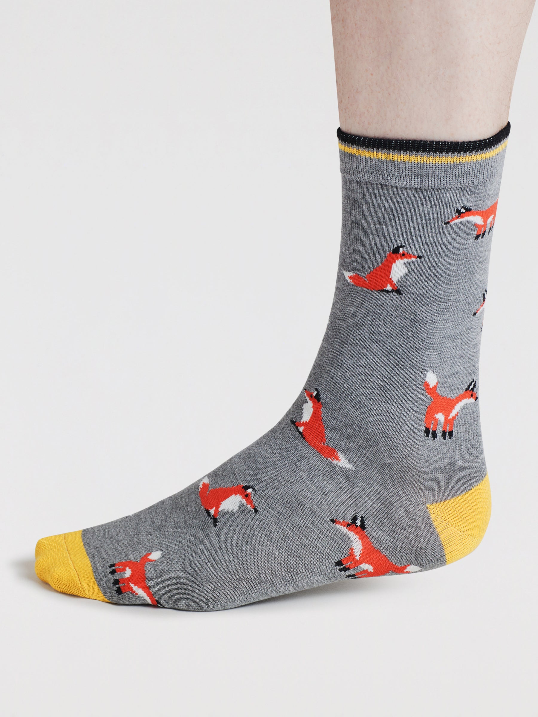Daly Forest Adventure Bamboo 7 Sock Gift Box - Multi