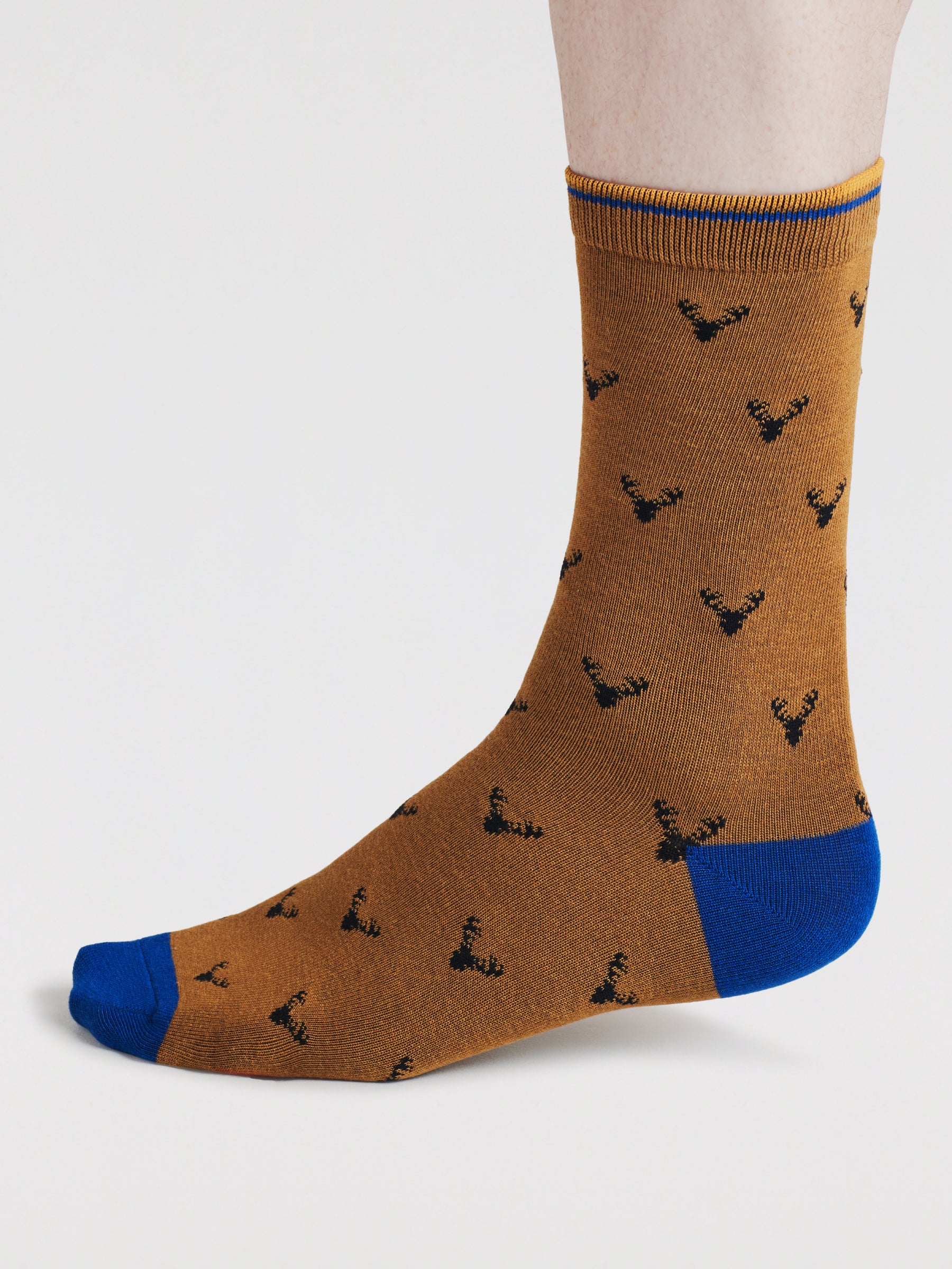 Daly Forest Adventure Bamboo 7 Sock Gift Box - Multi