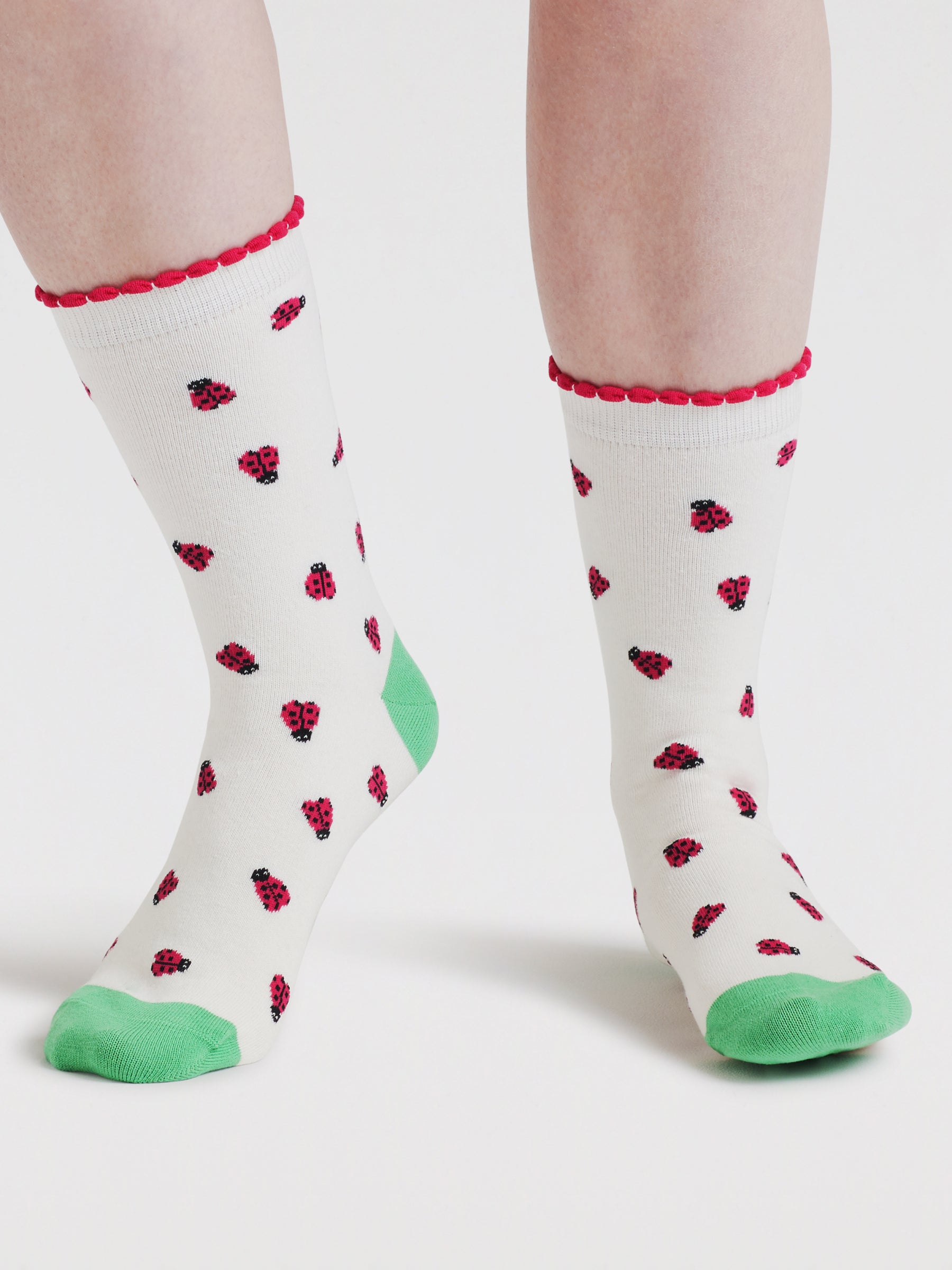 Womens Cloris Insect Organic Cotton 4 Sock Gift Box - Multi