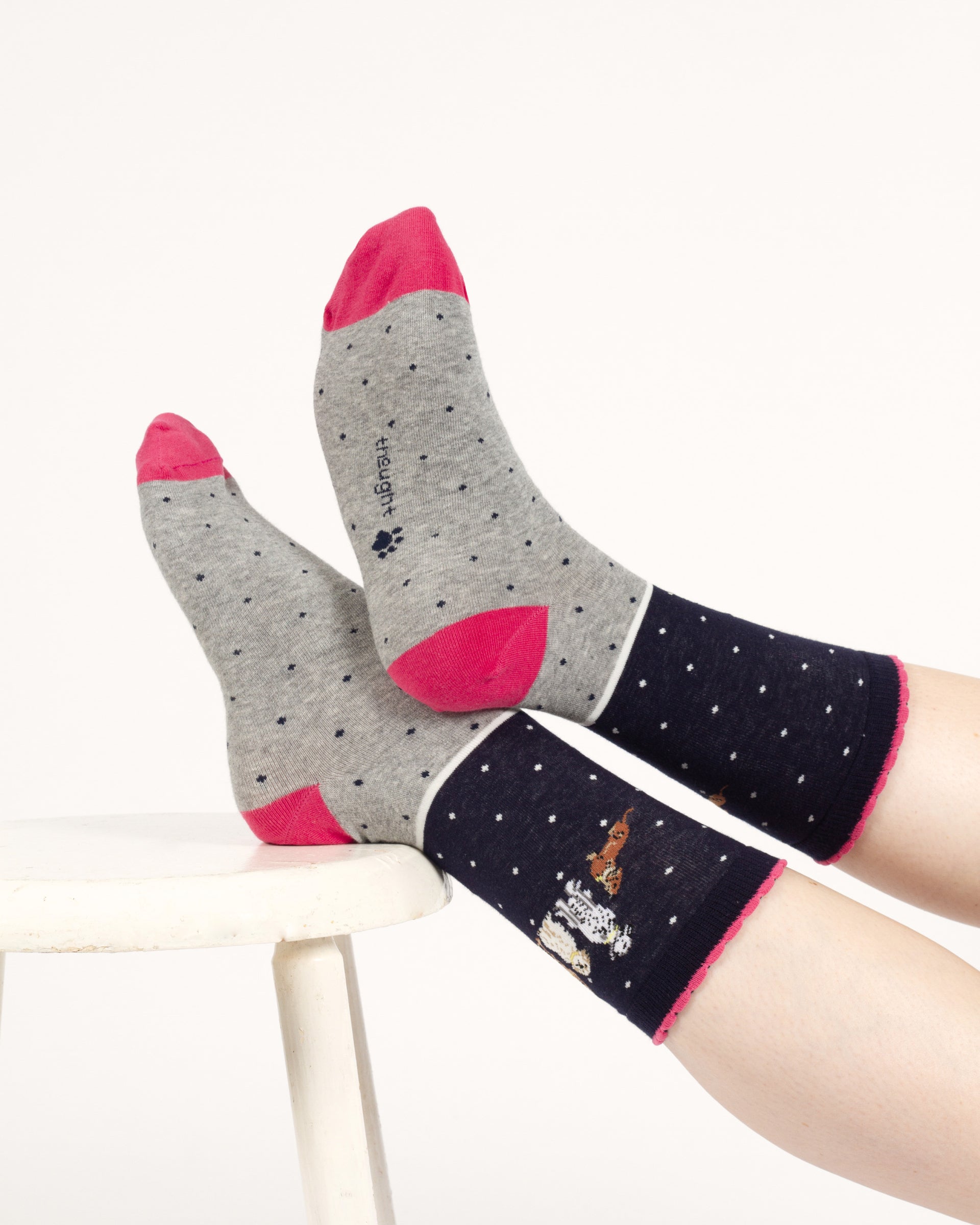 Be Pawsitive Organic Cotton 2 Socks in a Bag - Blue Multi