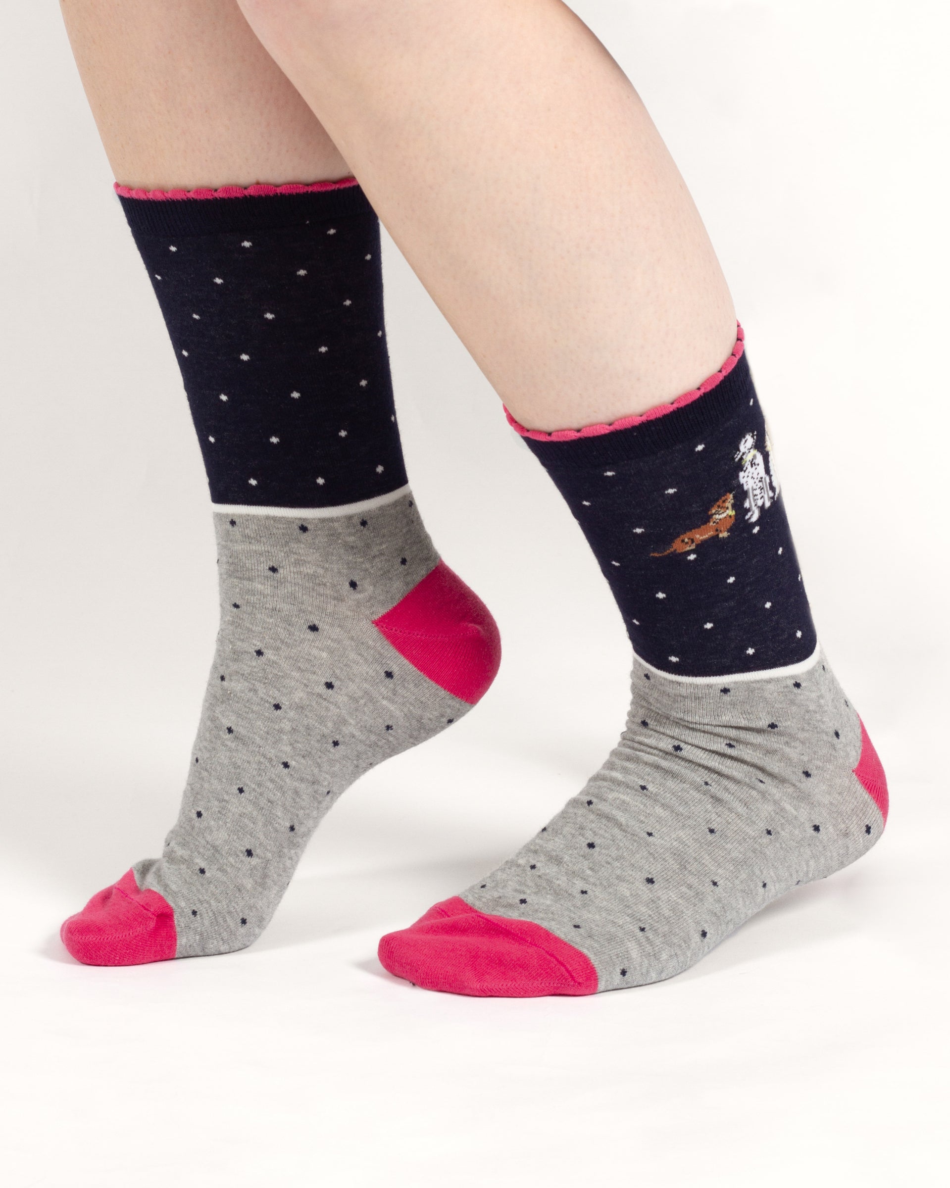 Be Pawsitive Organic Cotton 2 Socks in a Bag - Blue Multi