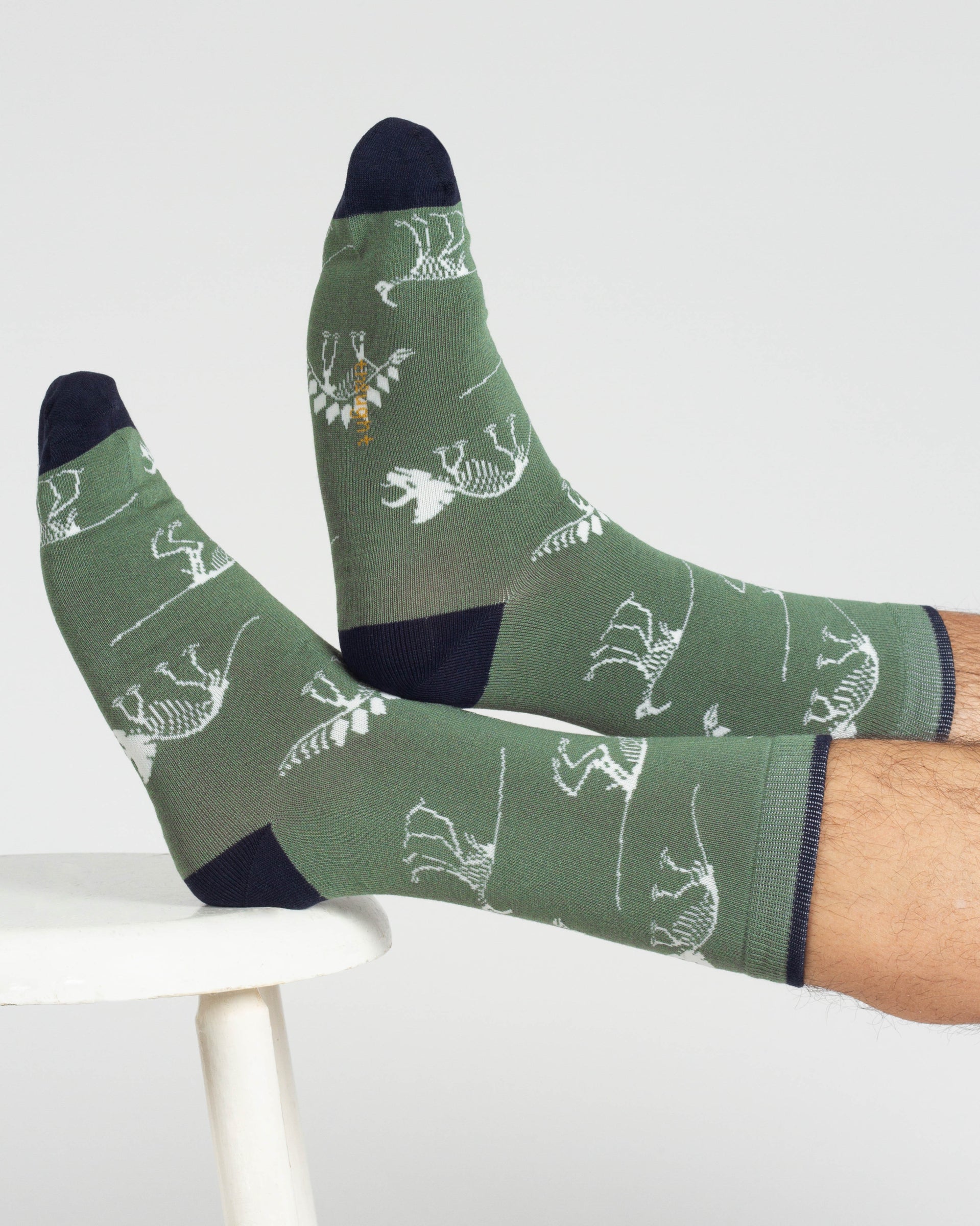 Dino Bamboo 2 Socks in a Bag - Green/Navy