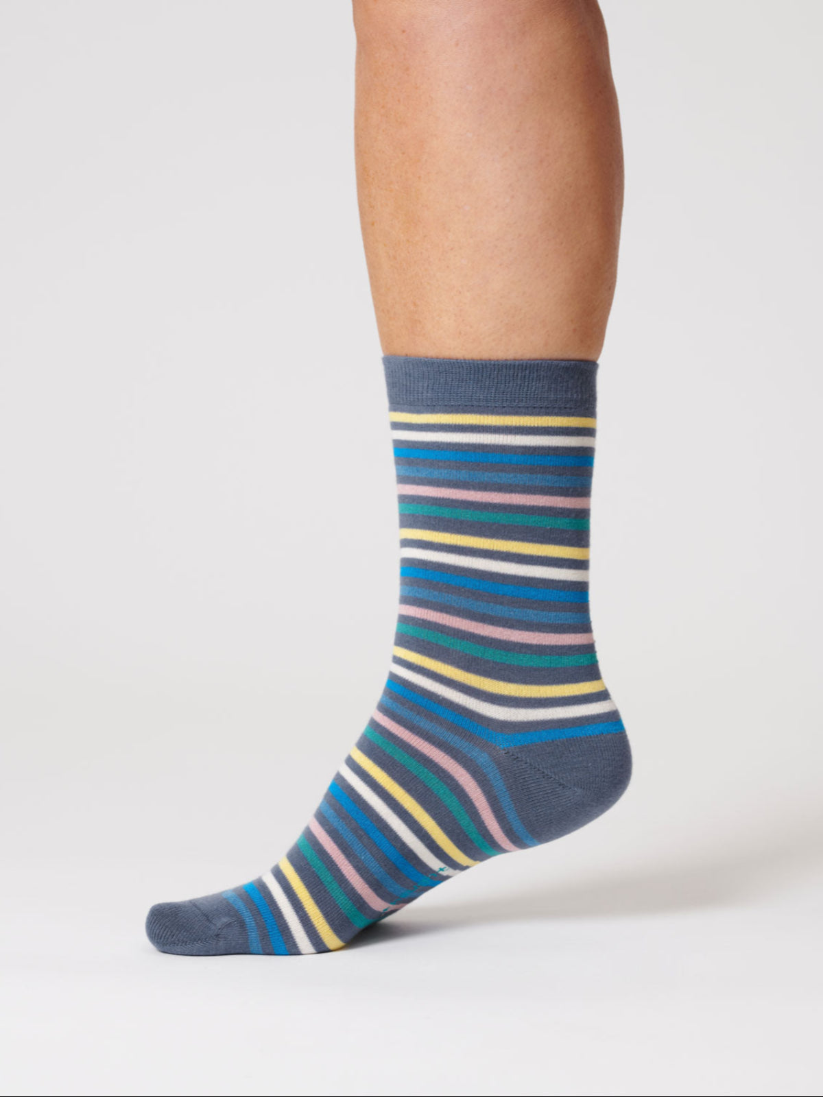 Womens Multi Stripe Organic Cotton Socks - Blueberry