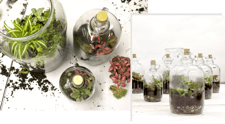 Braintree-London-Terrarium-Workshop-bthoughtful-blog-post-banner