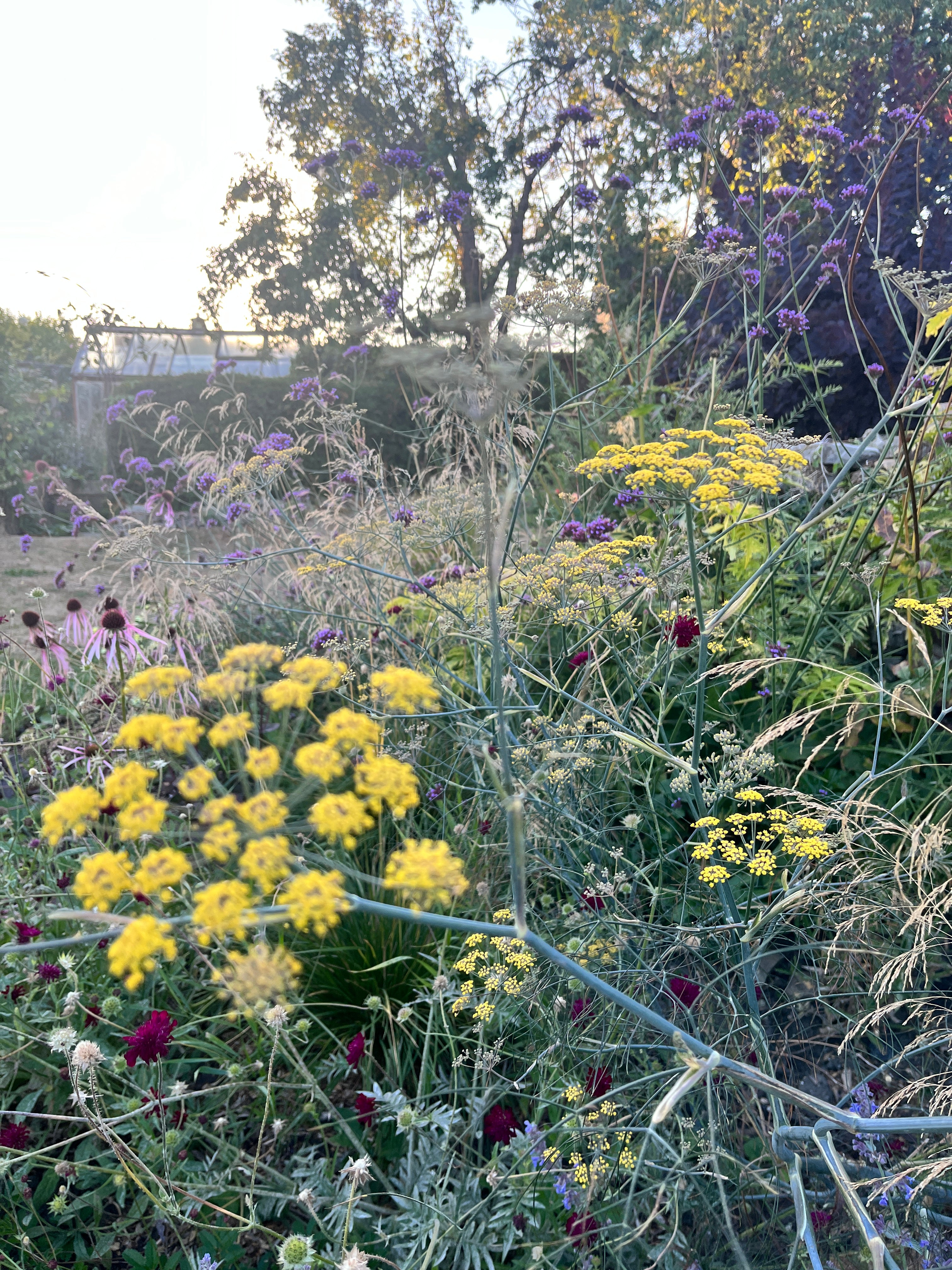 Blog: Sustainable gardening with Lottie Delamain