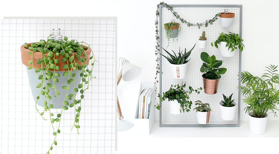 Vicky-Living-DIY-Plant-Wall-Tutorial-banner