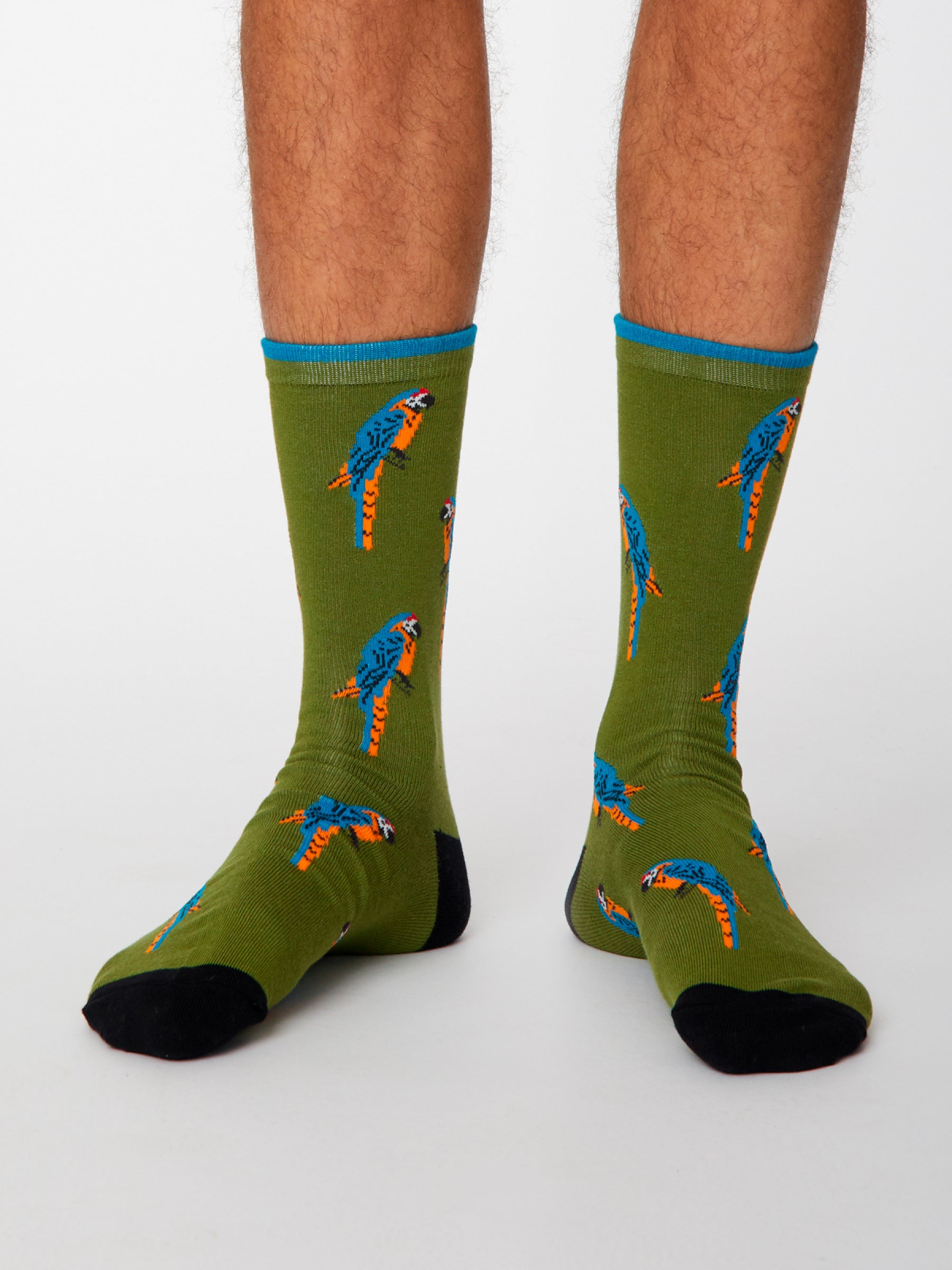 PAPPAGALLO SOCKS - OLIVE GREEN