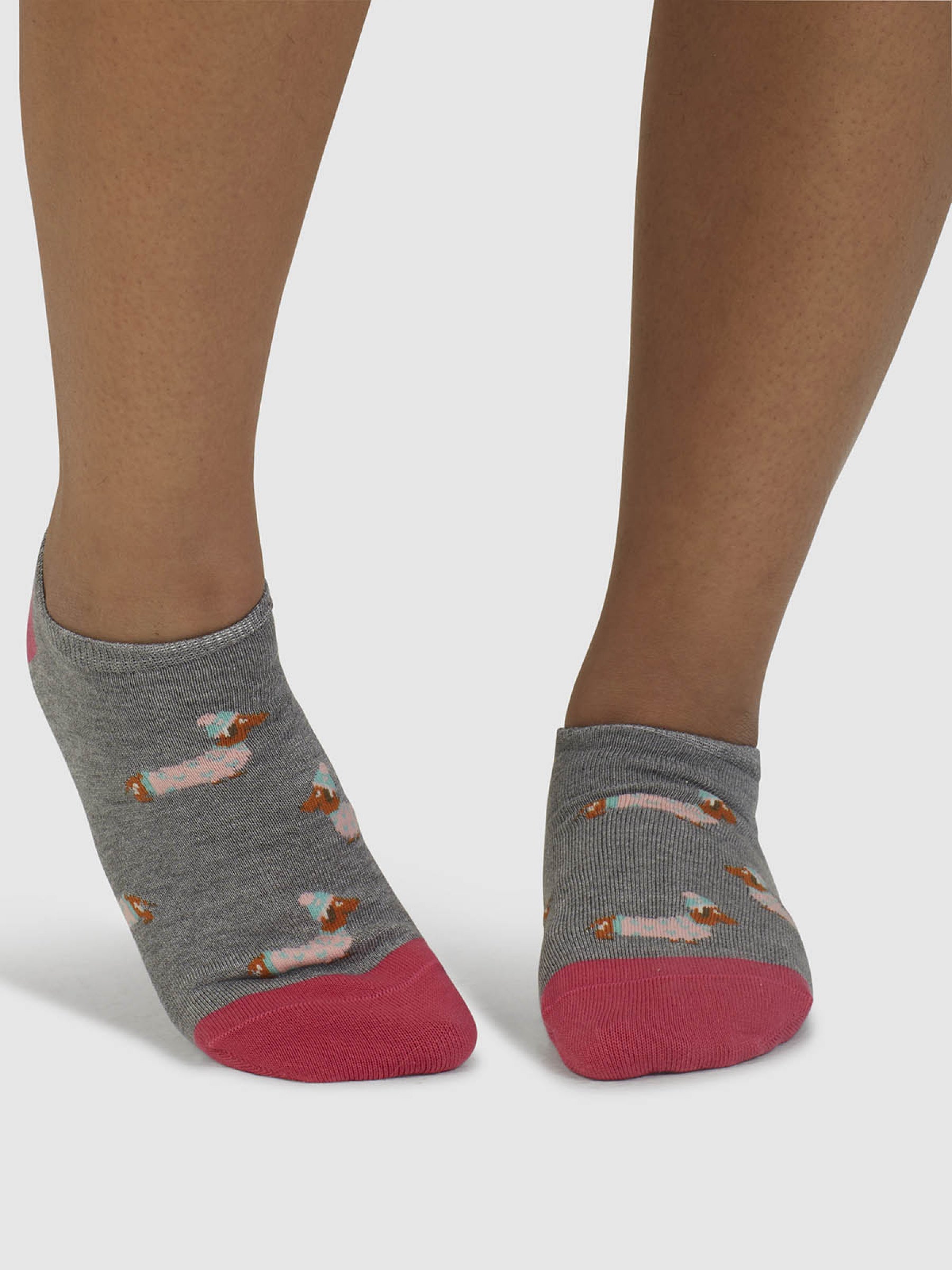 Freda Dachshund Organic Cotton Trainer Socks - Mid Grey Marle